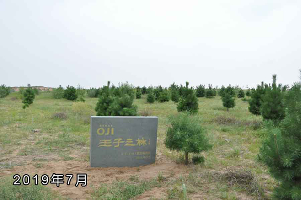 1615785026433243.jpg s19.jpg