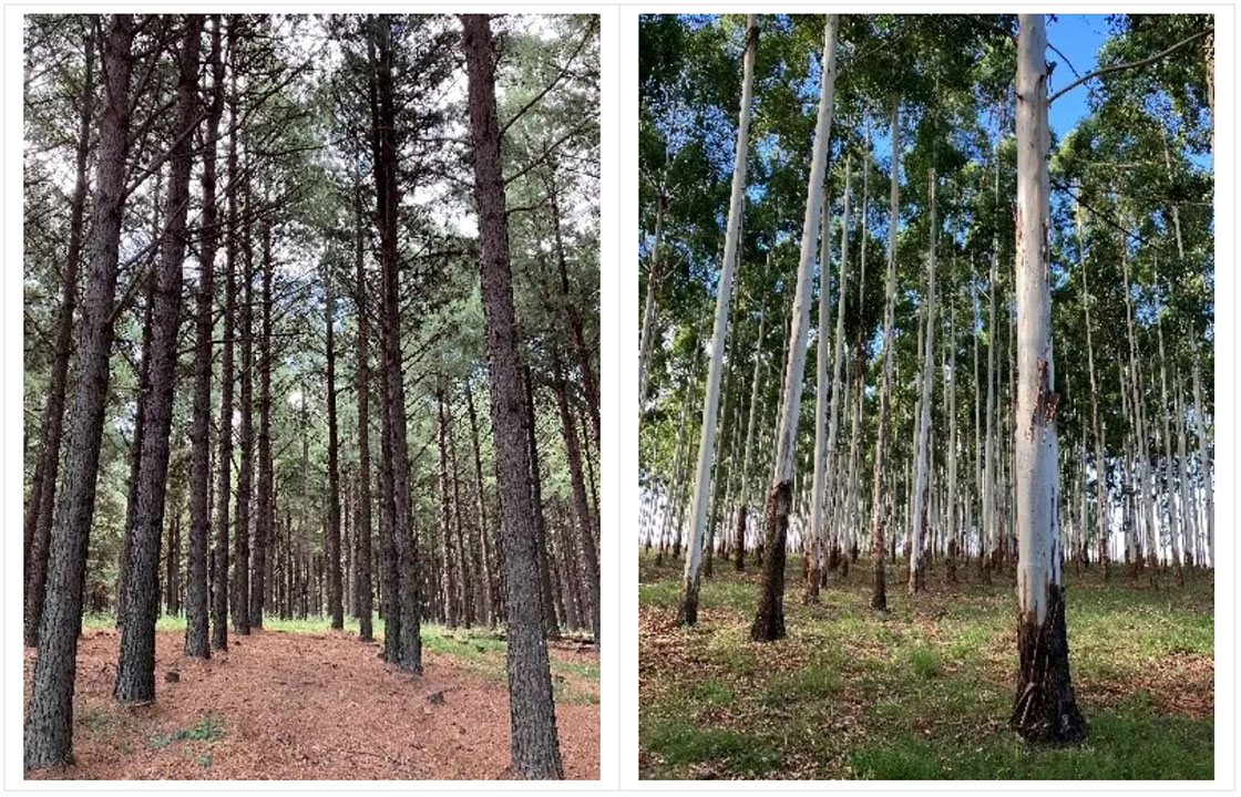 1716515091202464.jpg 微信截圖_20240524093851.jpg